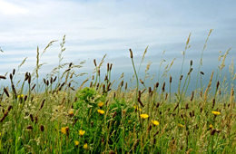 Atmospheric stability
