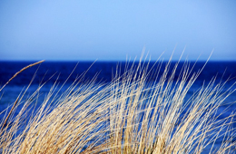 Local wind system