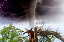 Thunderstorms (1)