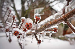 Medium-range forecast and seasonal prediction